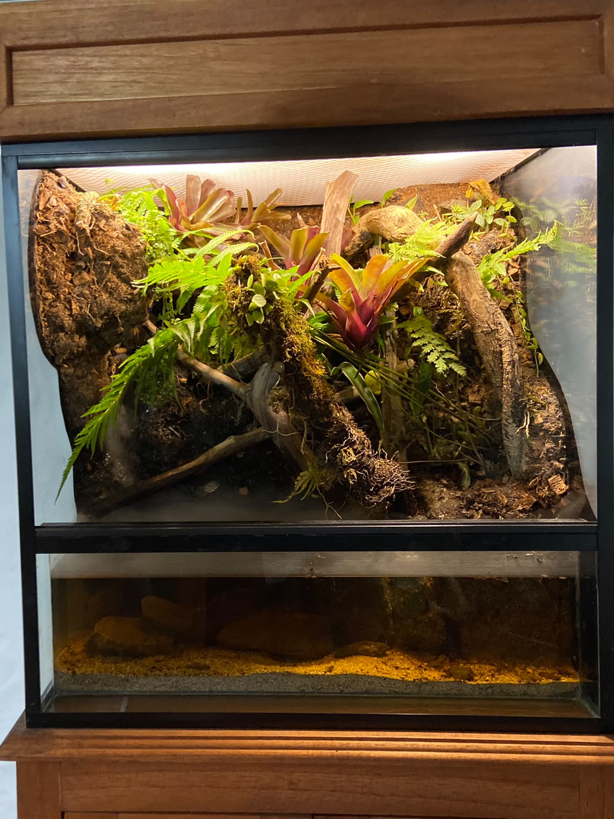 Prototipo 3 — vista frontal